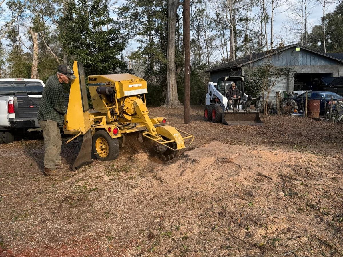 El Costeño Tree Service LLC